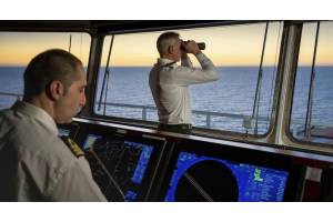 Requisitos para trabajar en un crucero de lujo: documentación, visados y certificados obligatorios